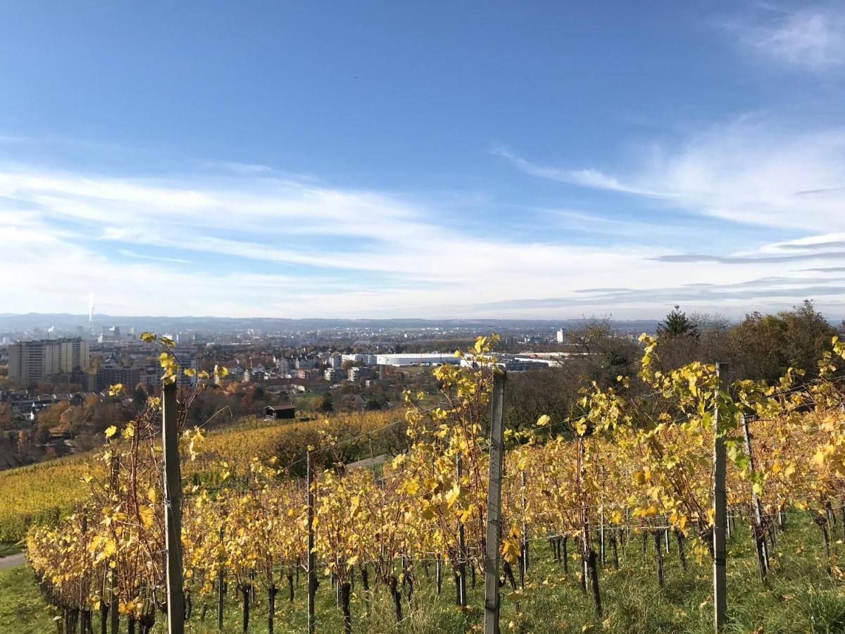 Ferienappartment mit Homeoffice, 2 Schlafzimmer mit Einzelbetten Weil am Rhein Exterior foto